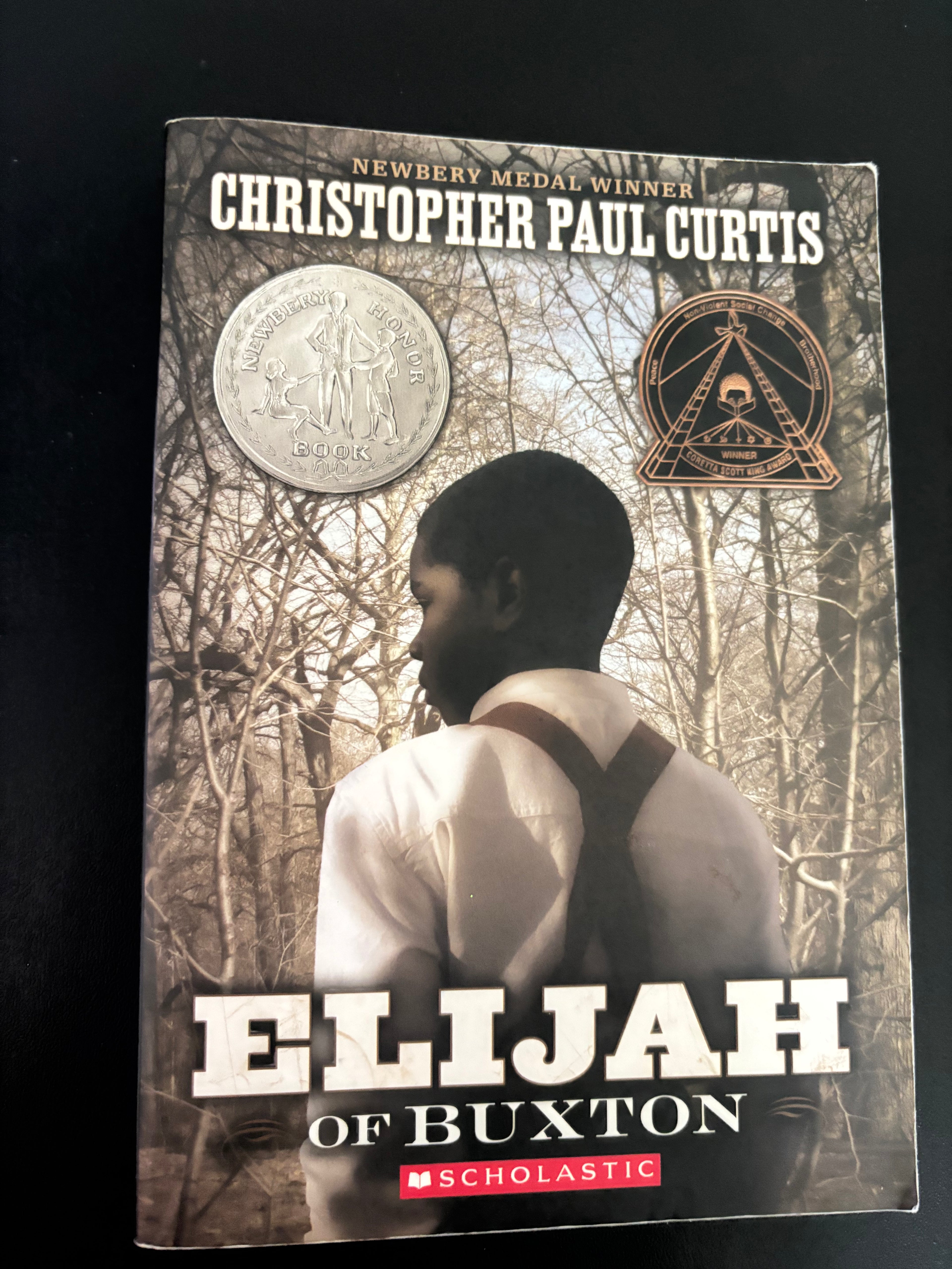 Elijah of Burton by Christopher Paul Curtis Tween/Middle Grade paperback (rescued)
