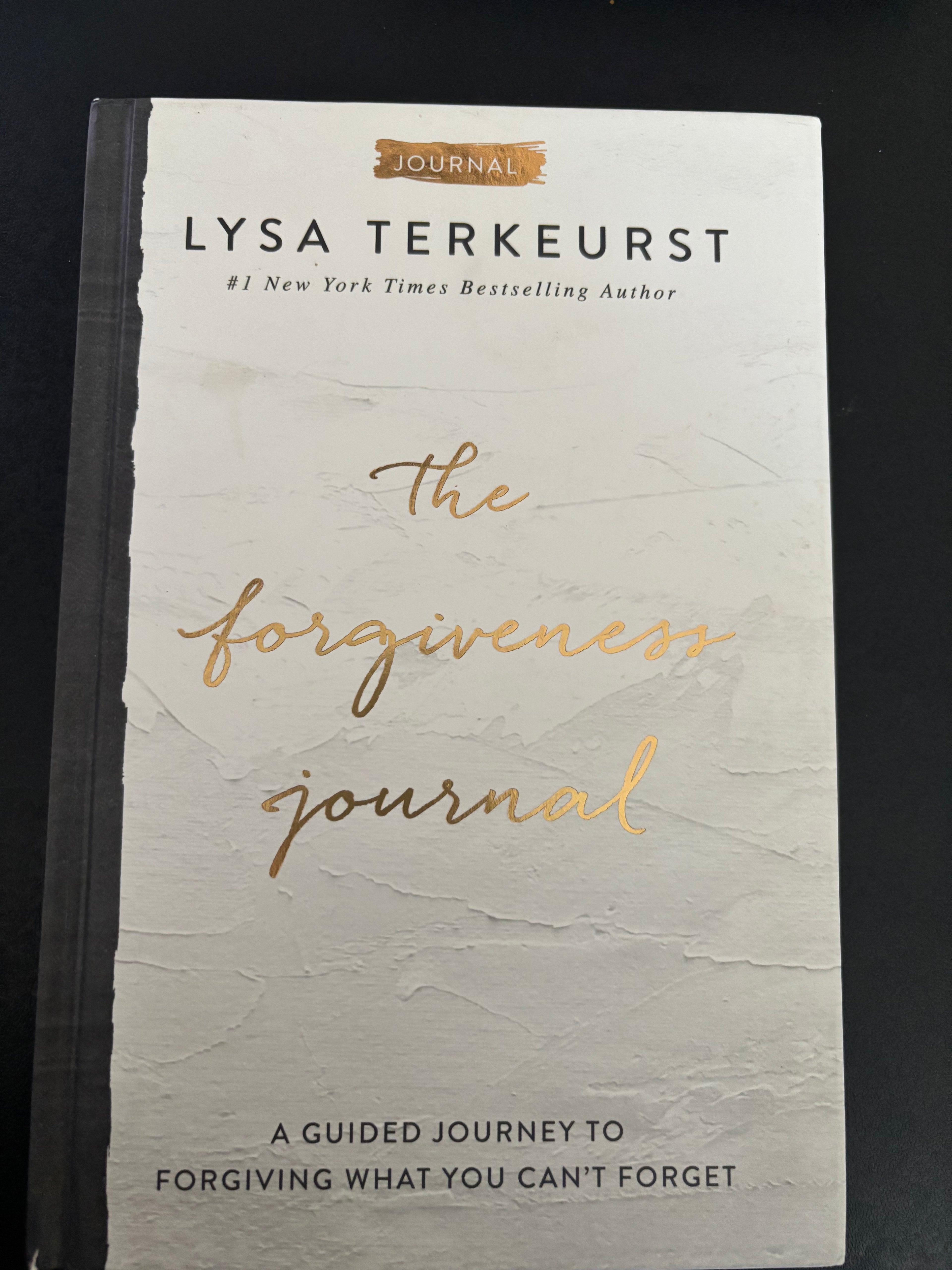 Forgiving What You Can’t Forget: Discover How to Move On, Make Peace with Painful Memories, and Create a Life That's Beautiful Again (3 ITEMS: Book, Journal, and Study Guide) by Lisa Terkeurst hardcover (like new)