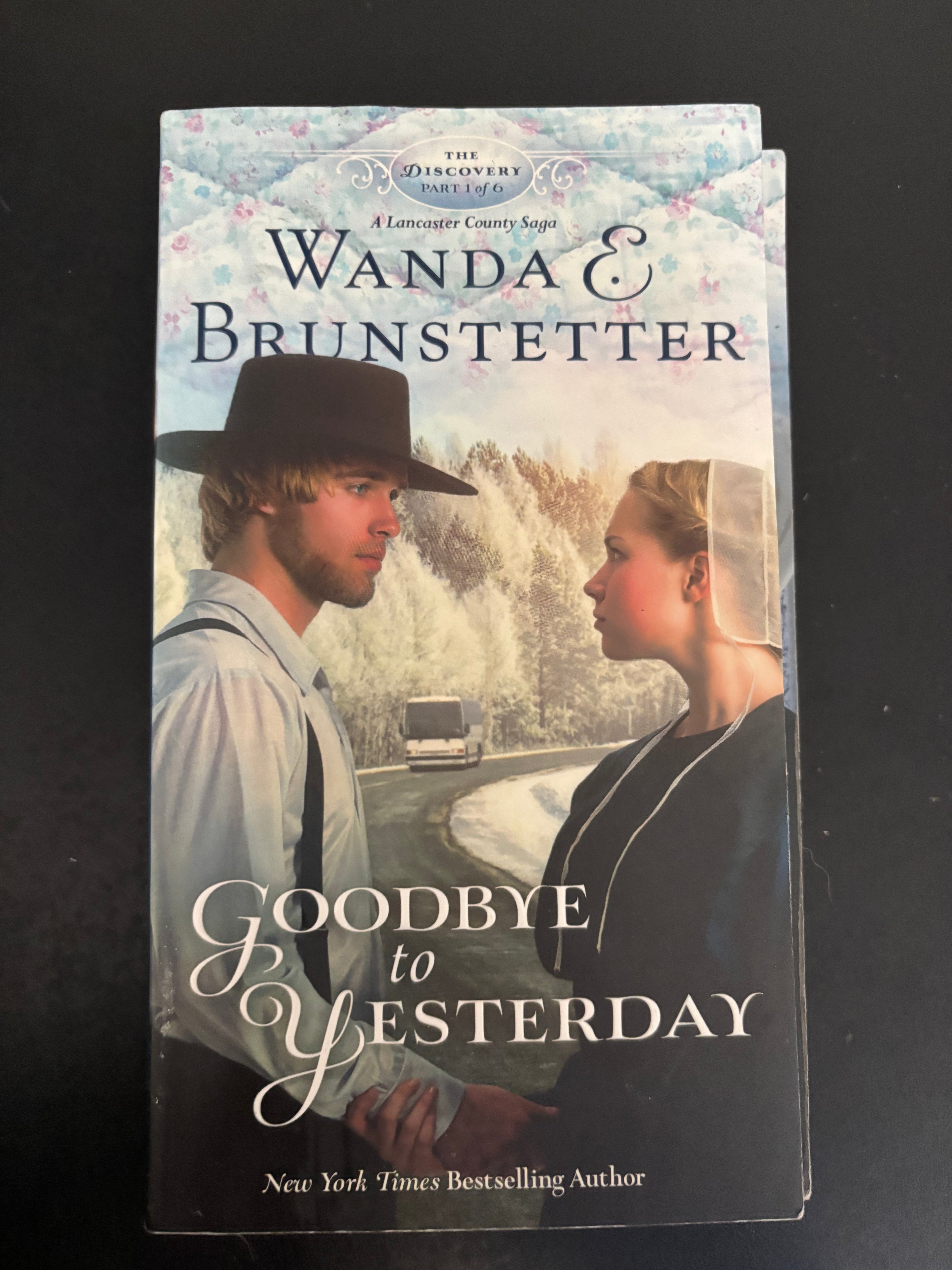Books 1-4 of the Discovery series by Wanda E. Brunstetter paperback (rescued)