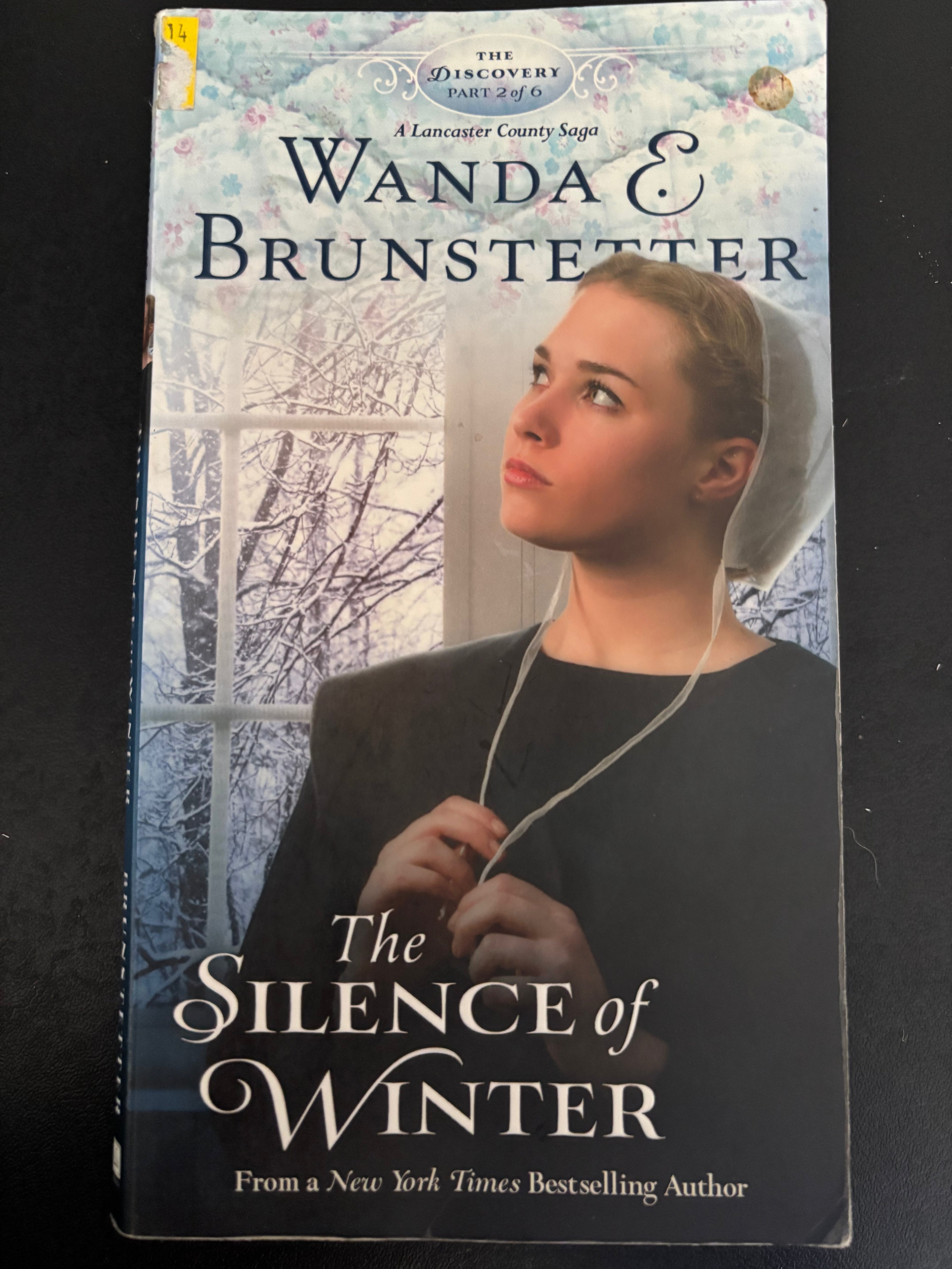 Books 1-4 of the Discovery series by Wanda E. Brunstetter paperback (rescued)