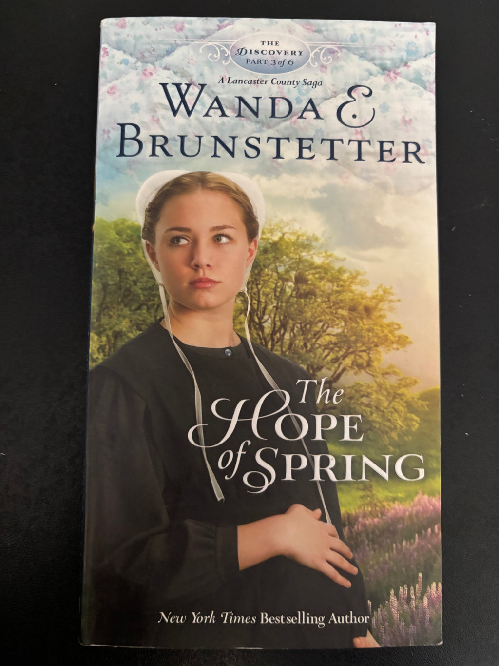 Books 1-4 of the Discovery series by Wanda E. Brunstetter paperback (rescued)