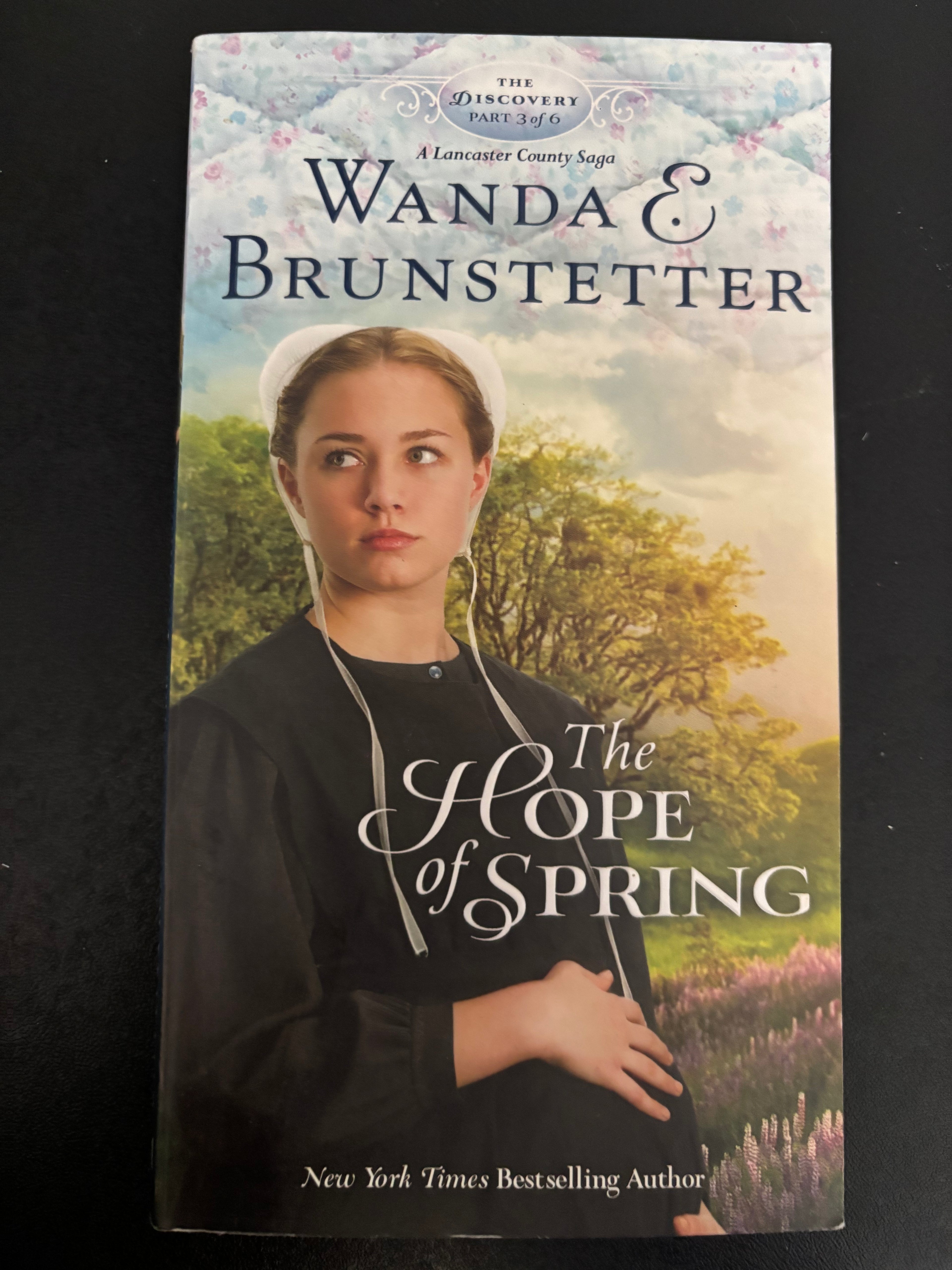 Books 1-4 of the Discovery series by Wanda E. Brunstetter paperback (rescued)