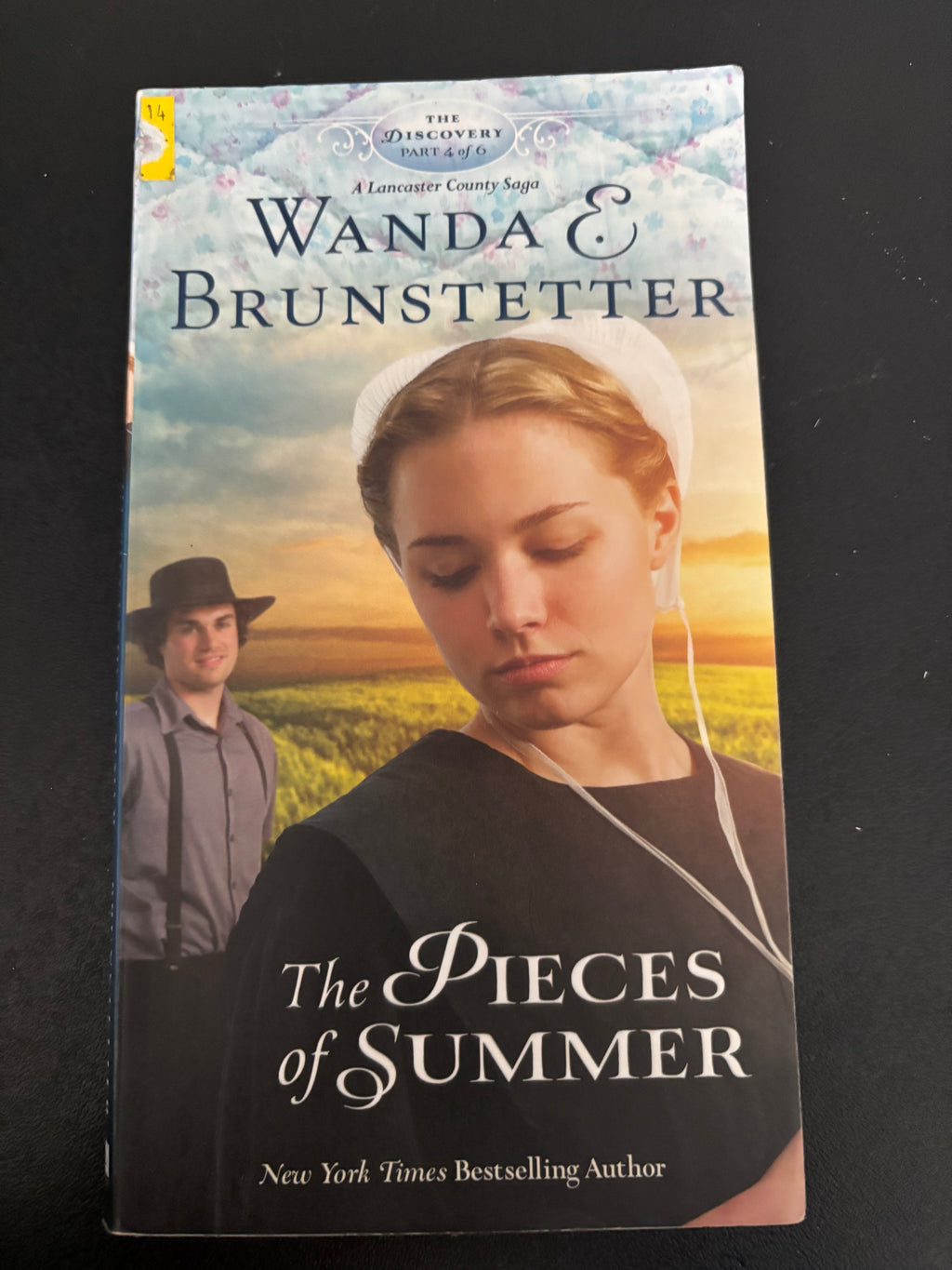 Books 1-4 of the Discovery series by Wanda E. Brunstetter paperback (rescued)