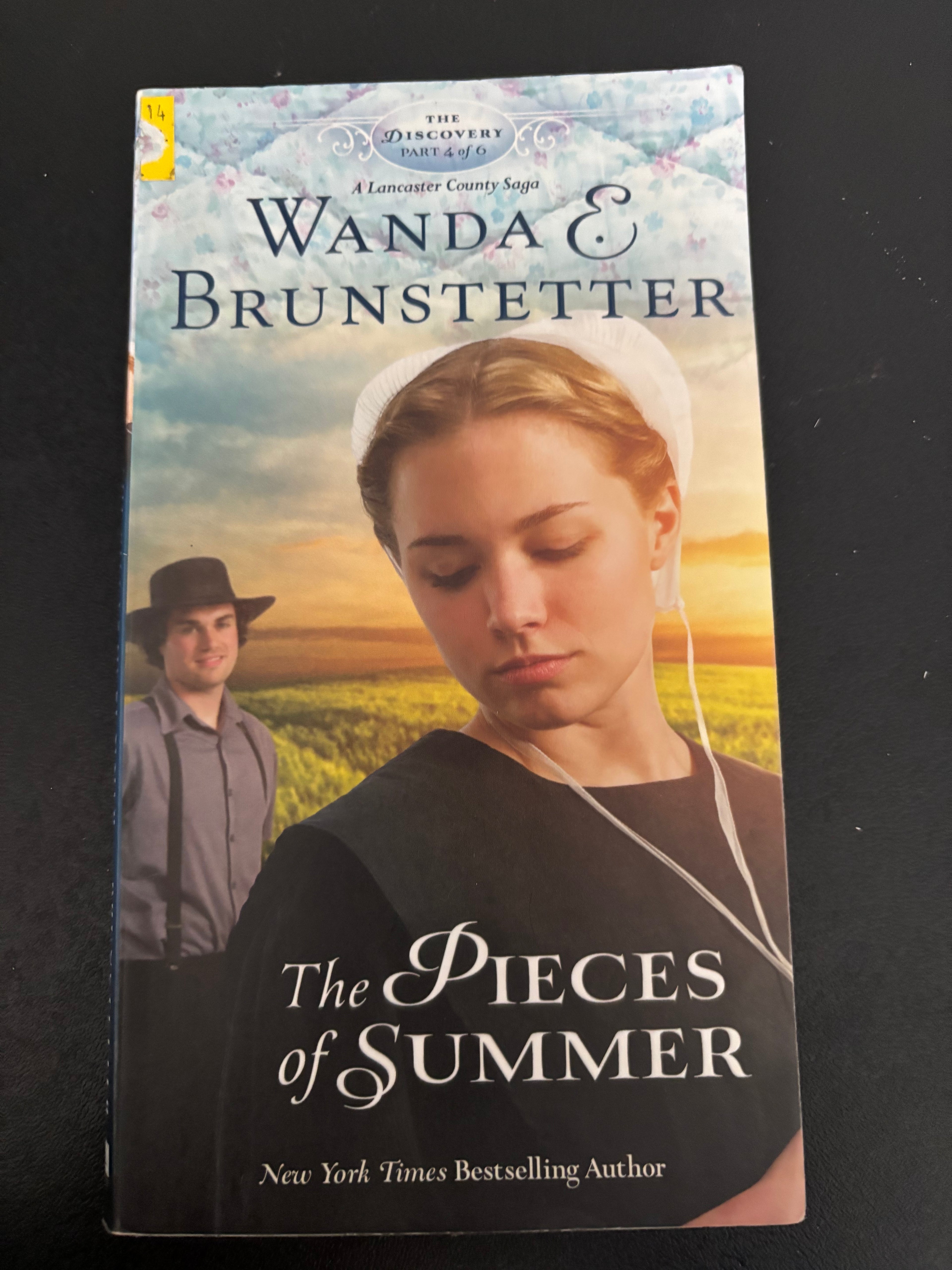 Books 1-4 of the Discovery series by Wanda E. Brunstetter paperback (rescued)