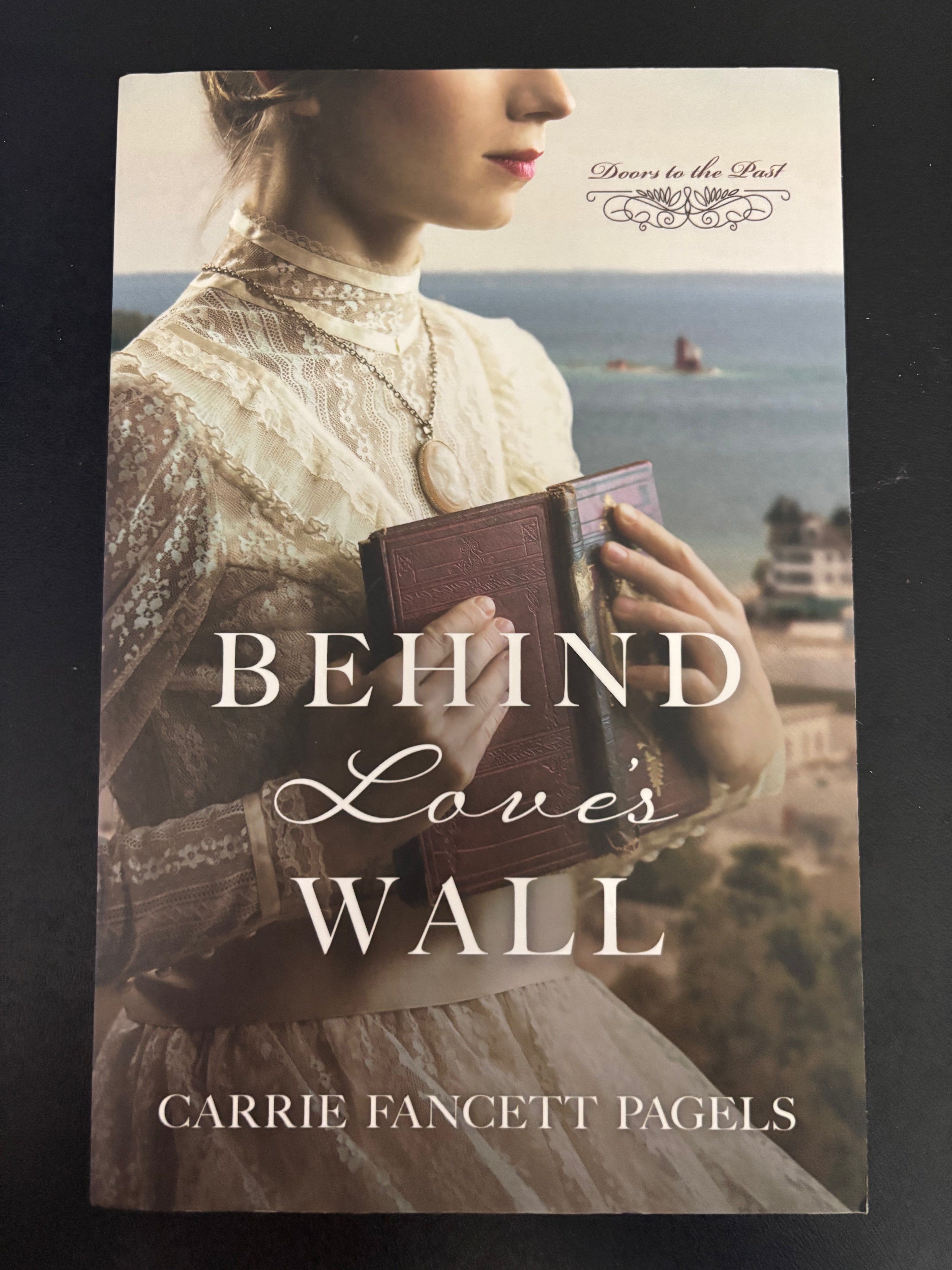 Behind Love’s Wall by Carrie Fancett Pagels paperback (rescued)
