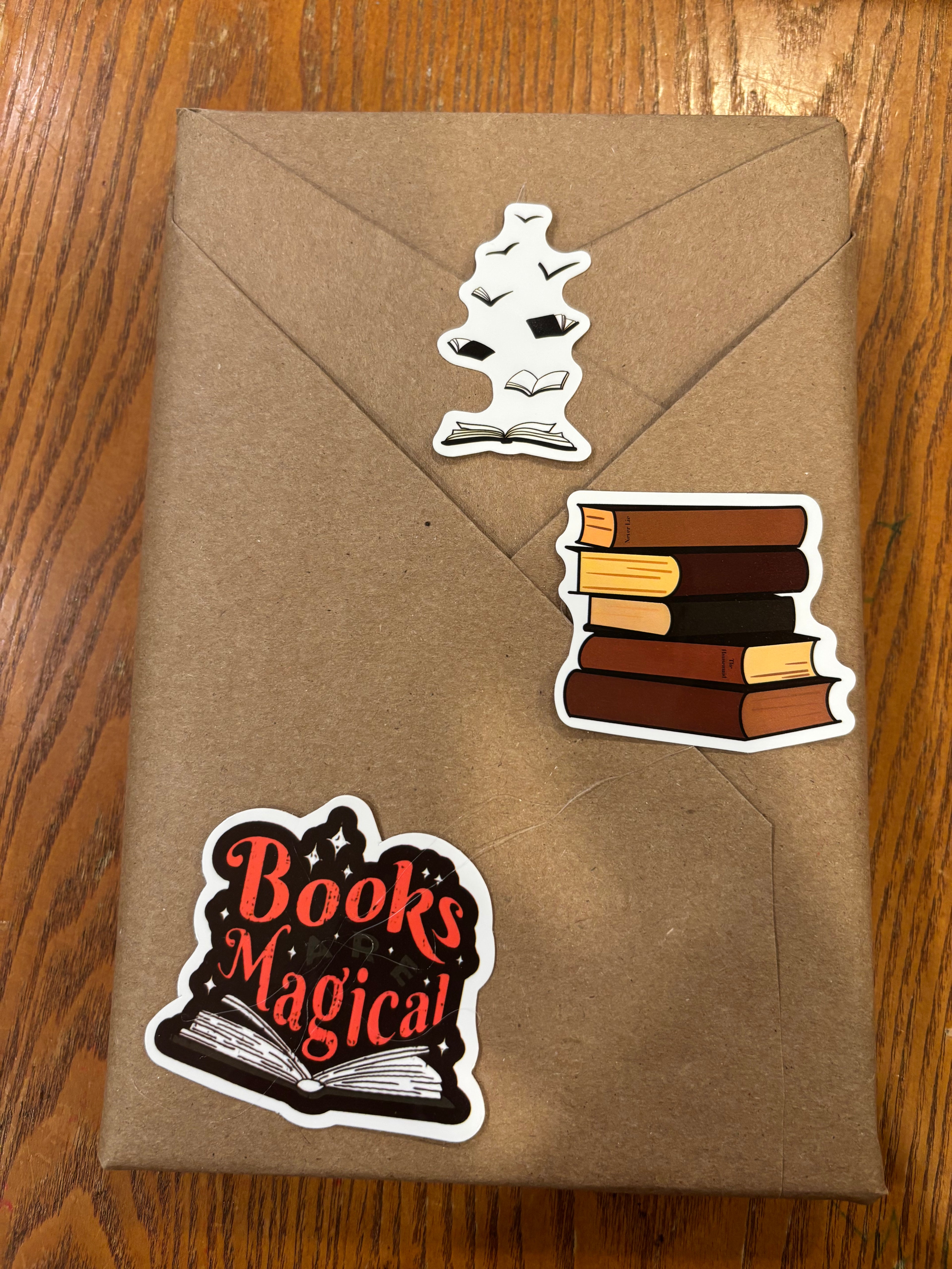 Blind Date with a Book #37 Rescued Funny Mystery paperback