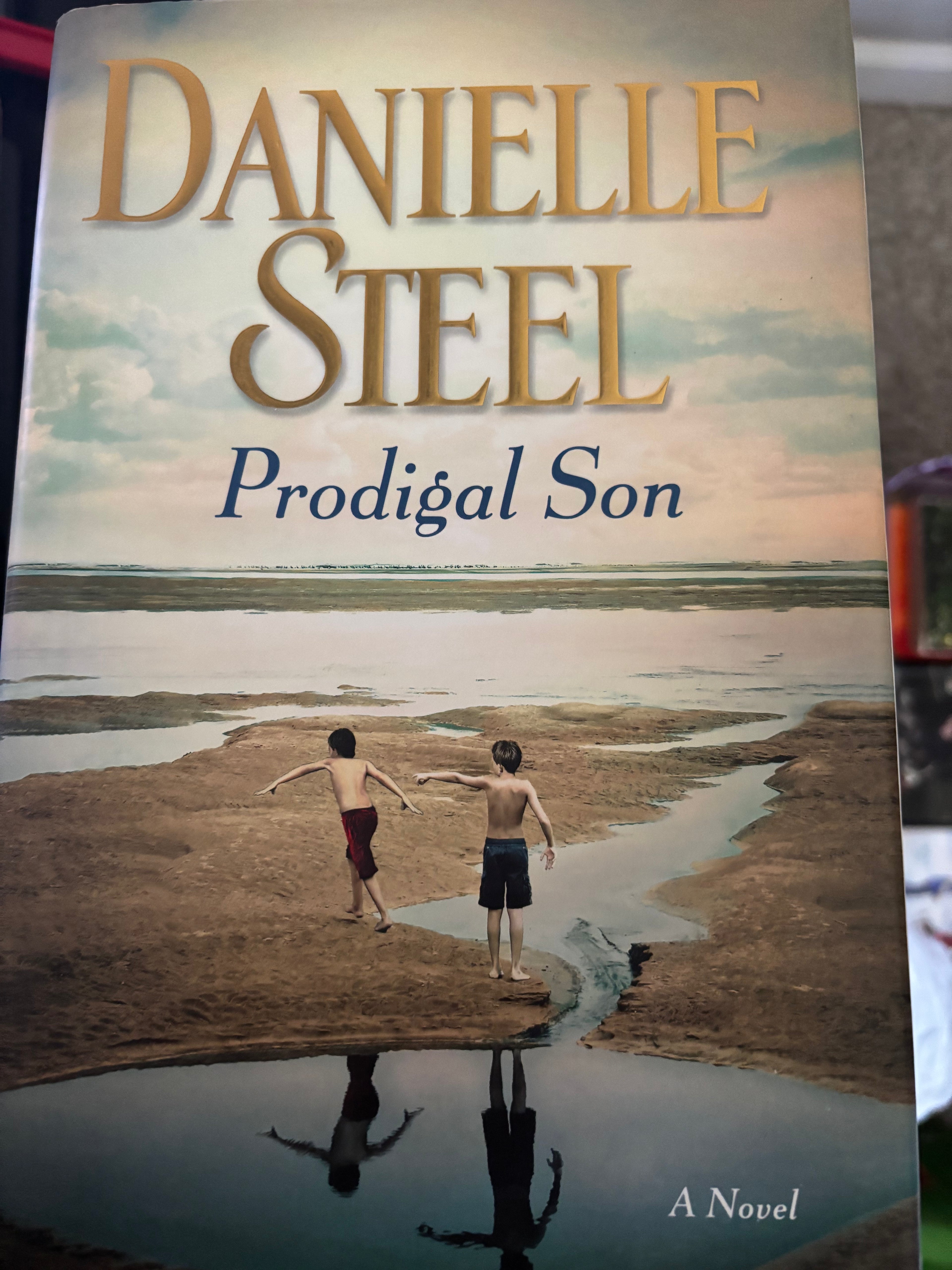 Prodigal Son by Danielle Steel hardcover (rescued)