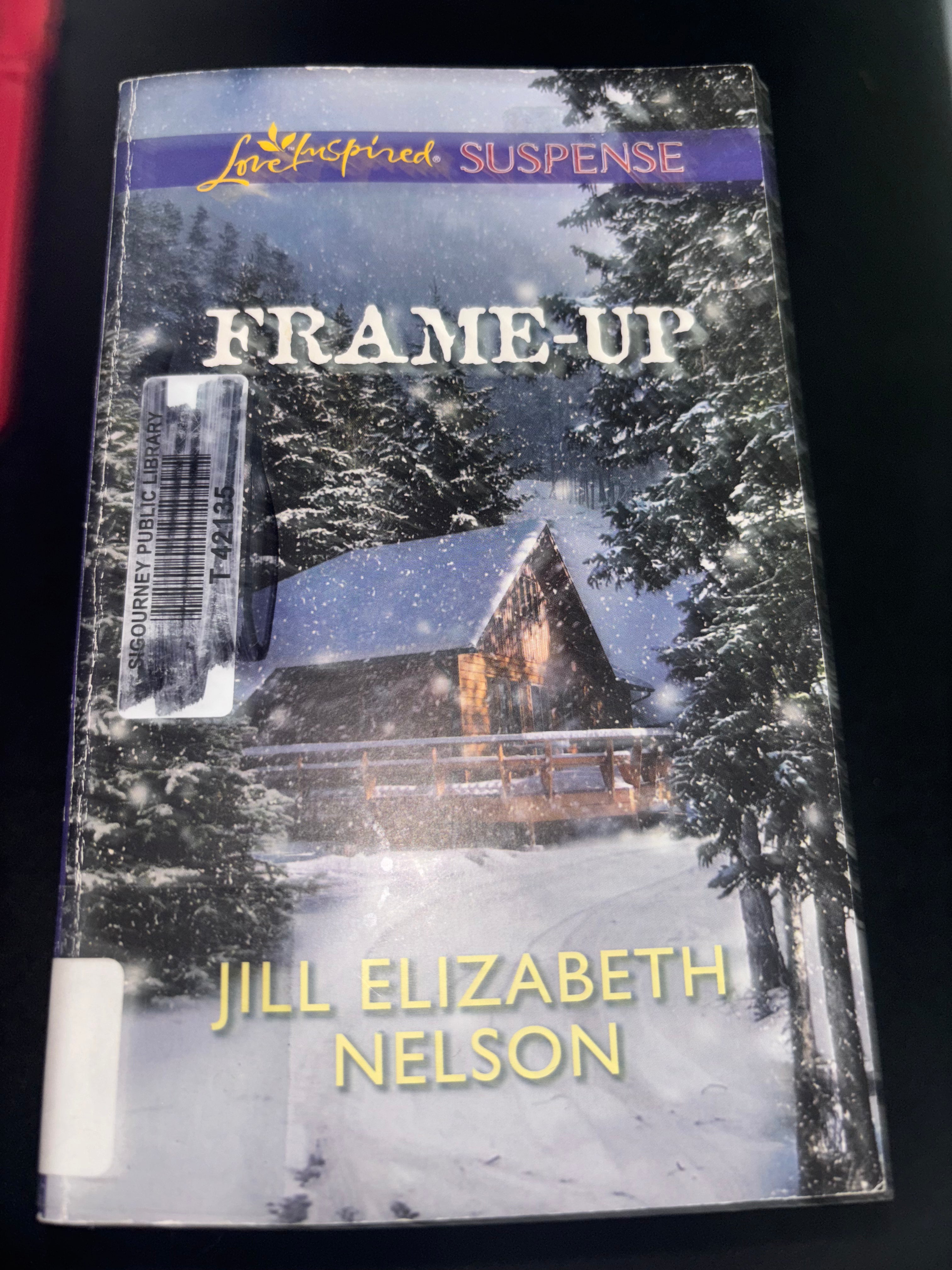 Frame-Up by Jill Elizabeth Nelson mass market (rescued)