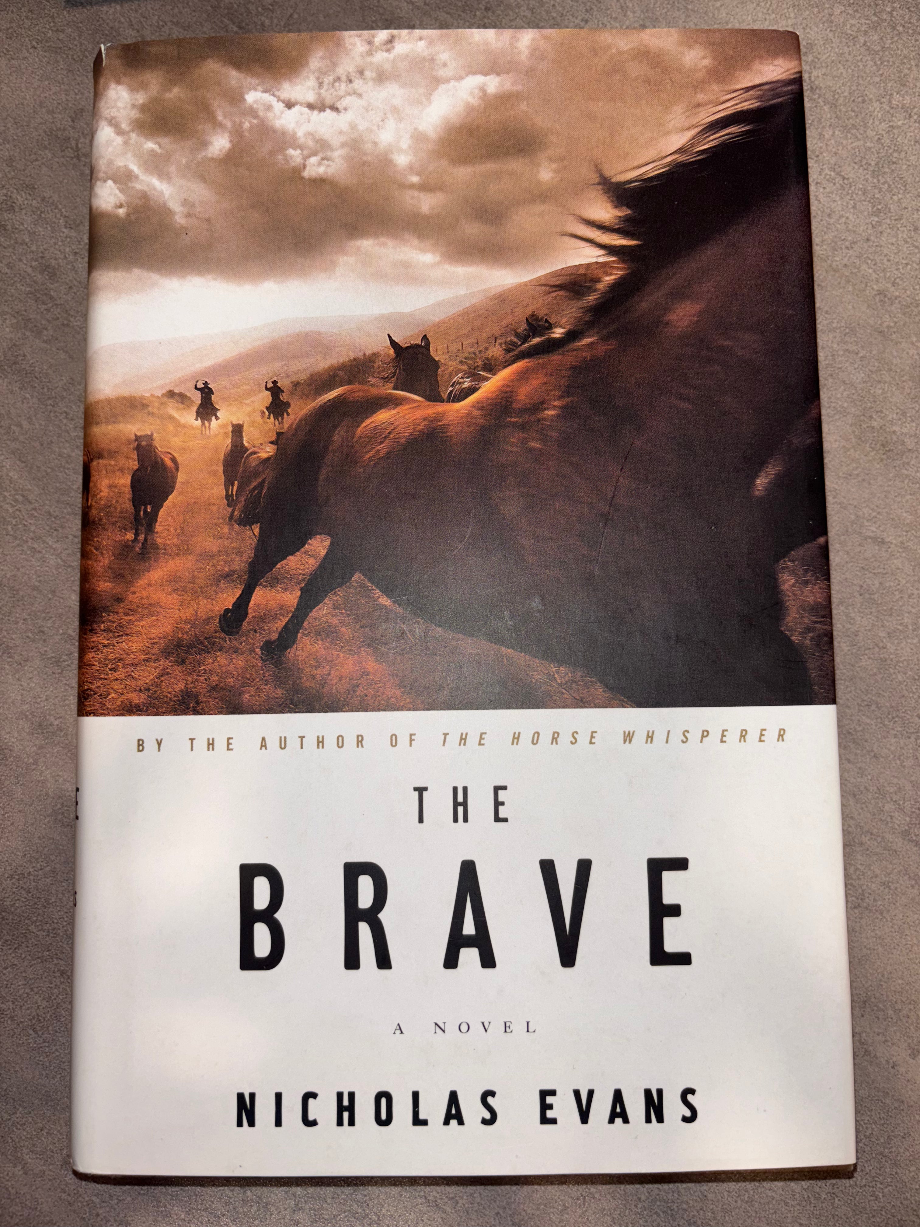 The Brave by Nicholas Evans hardcover (rescued)
